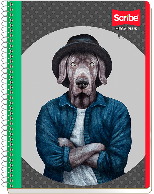 CUAD.PROF.100H MEGA C7517  MIX    SCRIBE