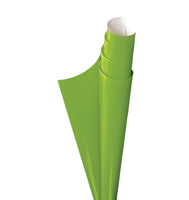 PAPEL LUSTRE 50X70 VERDE NILO C/25