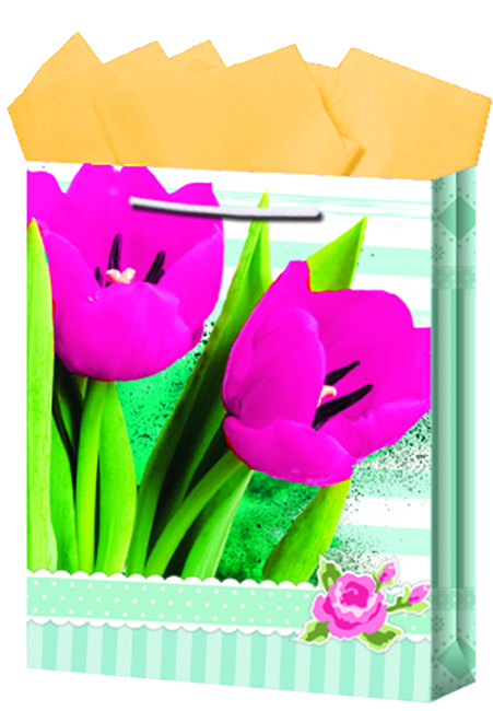 BOLSA REG.CHIC.DAMA                DIPAK 5120015212 512001520