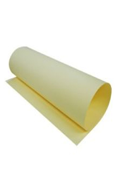 CARTULINA BRISTOL 50X65 AMA.GOLDEN C/100 GOLDEN COIN POWER YE