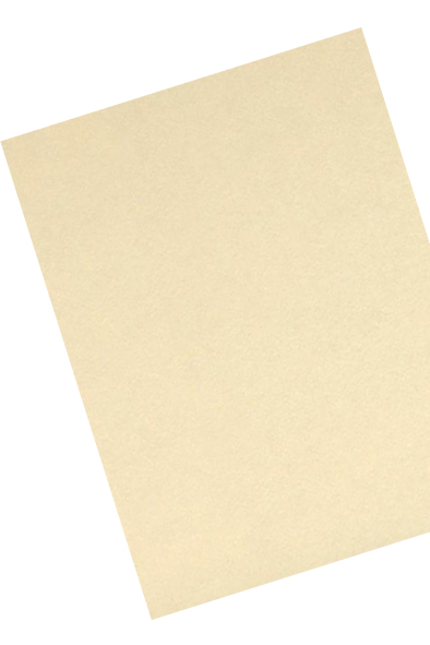 CARTULINA 50X65 IRIS CREMA         COLOR 308839 PLUS PROD.DES