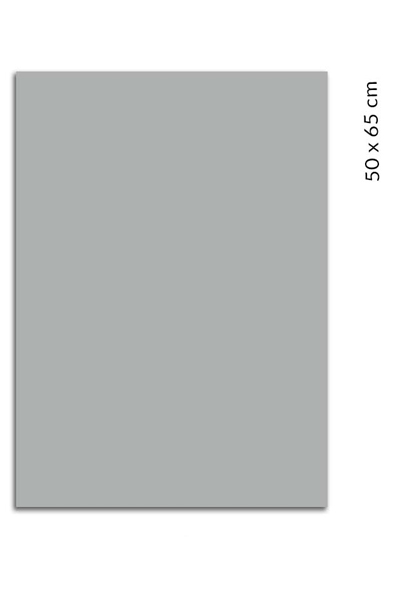 CARTULINA 50X65 IRIS GRIS PLOMO    COLOR 301847 PLUS 180GRS C