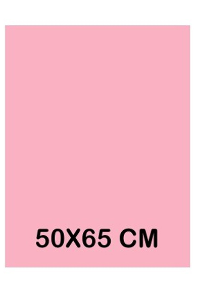 CARTULINA 50X65 IRIS ROSA          COLOR 301816 PLUS 180GRS C