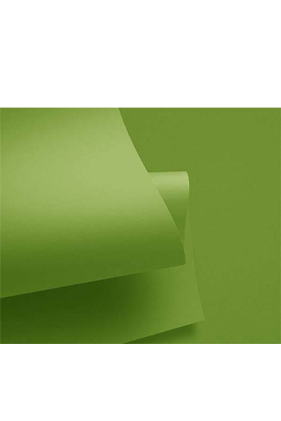 CARTULINA 50X65 IRIS VERDE MANZANA COLOR 301885 PLUS 180GRS C