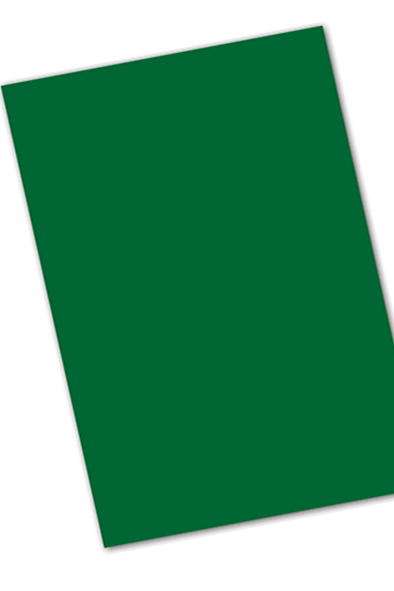 CARTULINA 50X65 IRIS VERDE SELVA   COLOR 301908 PLUS PROD.DES