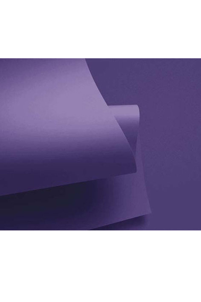 CARTULINA 50X65 IRIS VIOLETA       COLOR 398014 PLUS PROD.DES