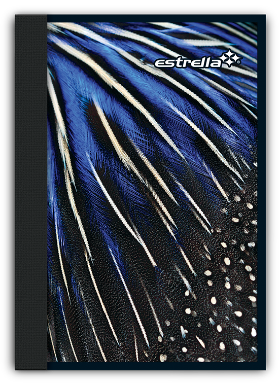 LIBRETA APUNTES     AHUL. 100H RYA ESTRE
