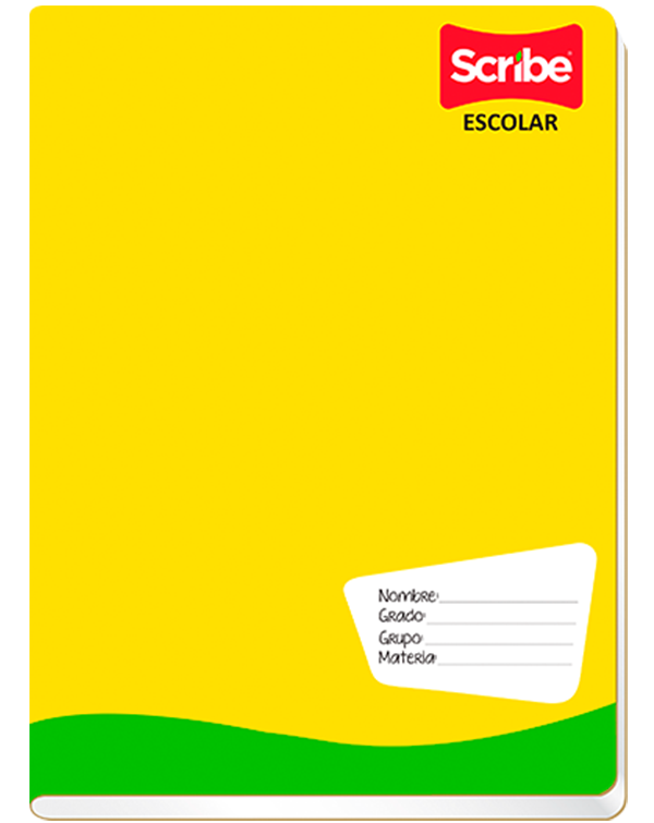 CUAD.PROF.100H ESC.PLUS    C-5    SCRIBE