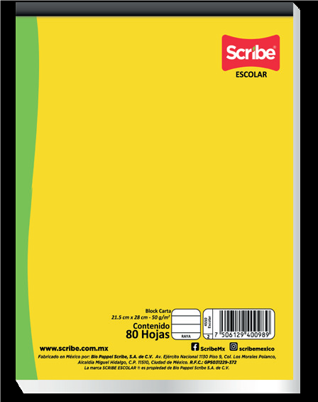 BLOCK PEGADO ESCOLAR CTA BCO 4551 80H 48P