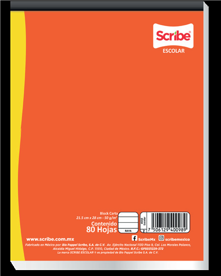 BLOCK CARTA RAYA       80H S4550  SCRIBE