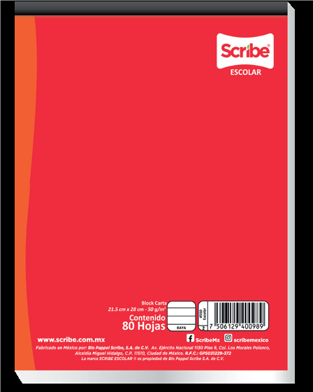 BLOCK MILIMETRICO     50H S2600   SCRIBE