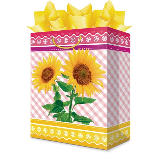 BOLSA REG.CHIC.FELICIDAD.C/8 C/DIAM.JANE BLC402FE01 C/DIAMNTI