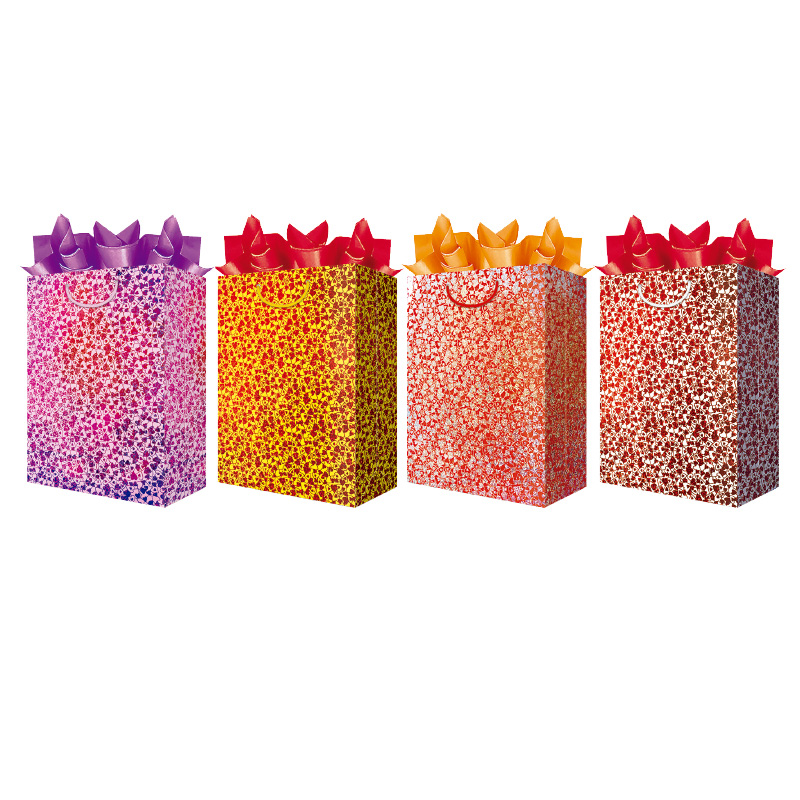 BOLSA REG.CHIC.FLO.L.C/8 HOLOG.DESM.JANE BLHD02FL02 FLORES LA