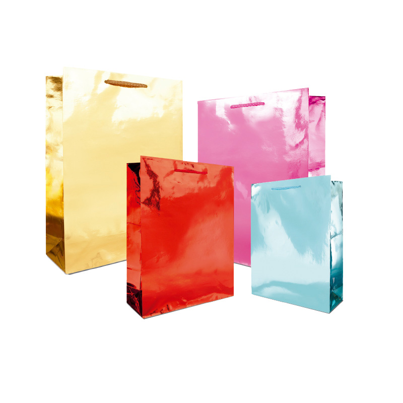 BOLSA REG.CHIC.HOLOG.MET.PUNT.AZ R.JANEL 669343 BLC602LS08(HO