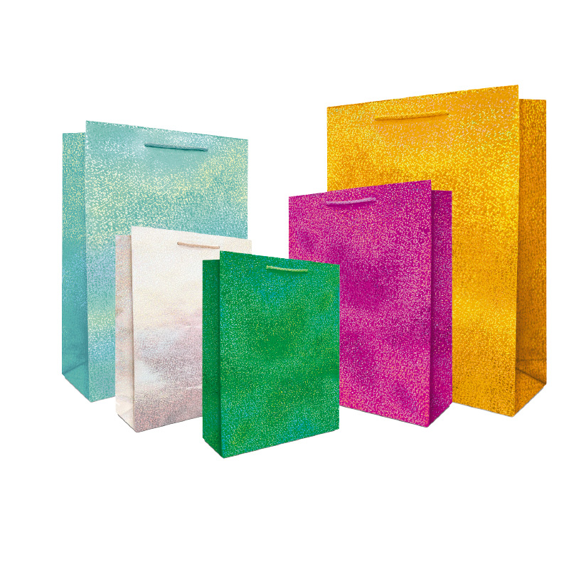 BOLSA REG.CHIC.HOLOG.MET.PUNT.VD.B.JANEL        BLC602LS13(HO