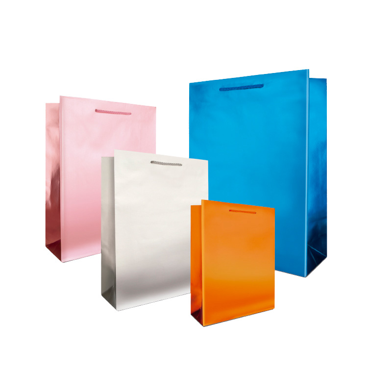 BOLSA REG.CHIC.LAQUE.MATE.SALMON   JANEL 614121 LISA CA514 (2