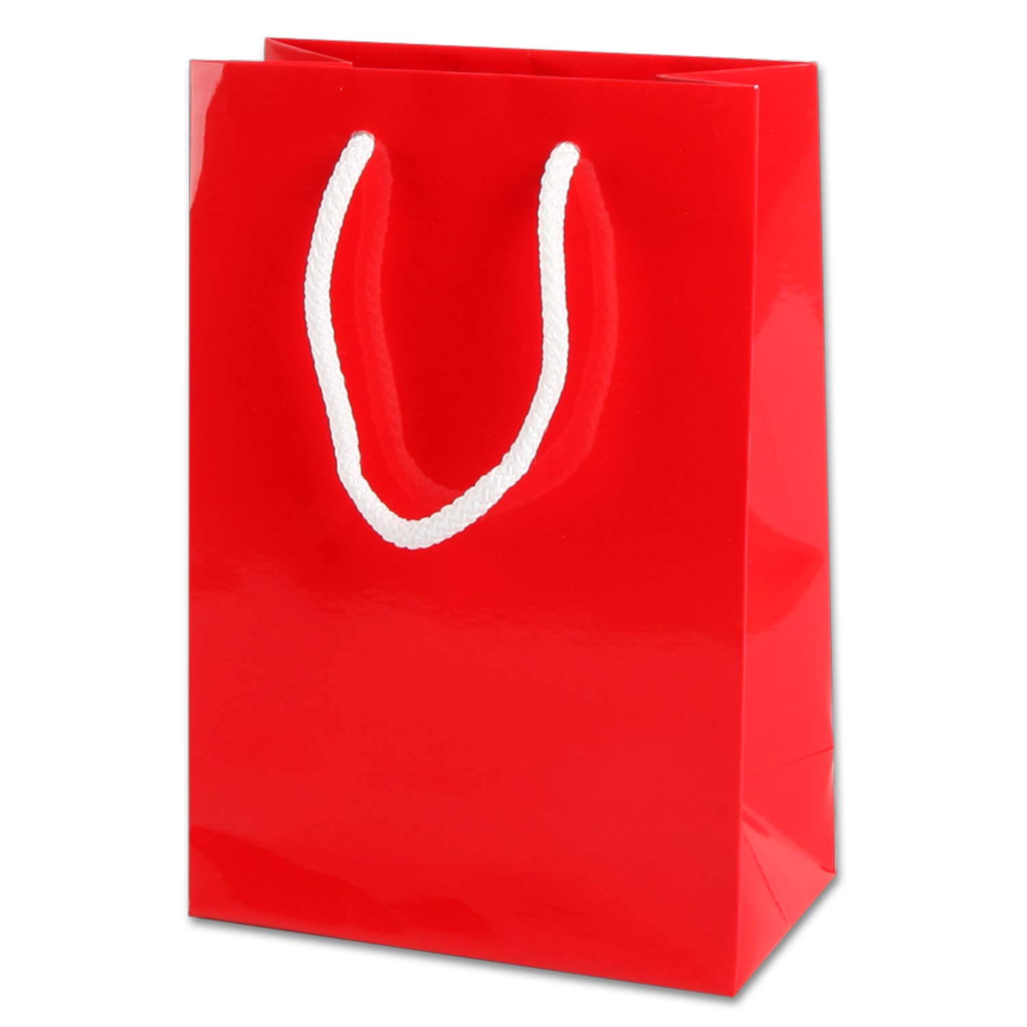 BOLSA REG.MED. LAMIN.MATE  ROJO    JANEL 668032 BLC303LS02 (L