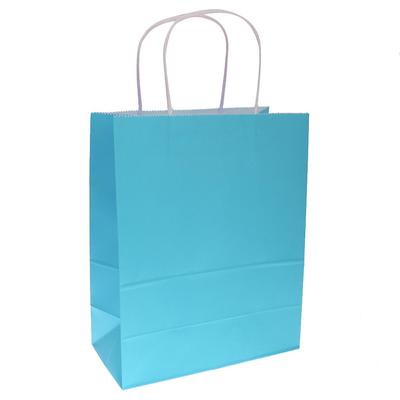 BOLSA REG.GDE. LAMIN.MATE  AZL CIE.JANEL 668285 BLC304LS19 (L
