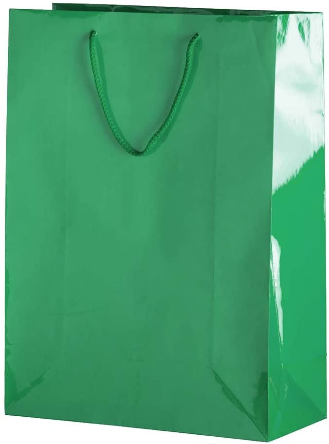 BOLSA REG.MED. METAL.BRILL.VDE BAN.JANEL 668841 BLC803LS13 (2