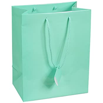 BOLSA REG.MED. LAQUE.BRILL.AZL.TURQ.JANE 613698 BRILLANTE LIS