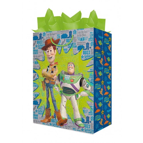 BOLSA REG.MED. TOY S.01 HOLO.TRANS.JANEL 124233 BLC703DT01 TO
