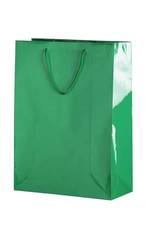 BOLSA REG.GDE. LAQUE.MATE VDE.BAND.JANEL 614374 LISA (32X10X4