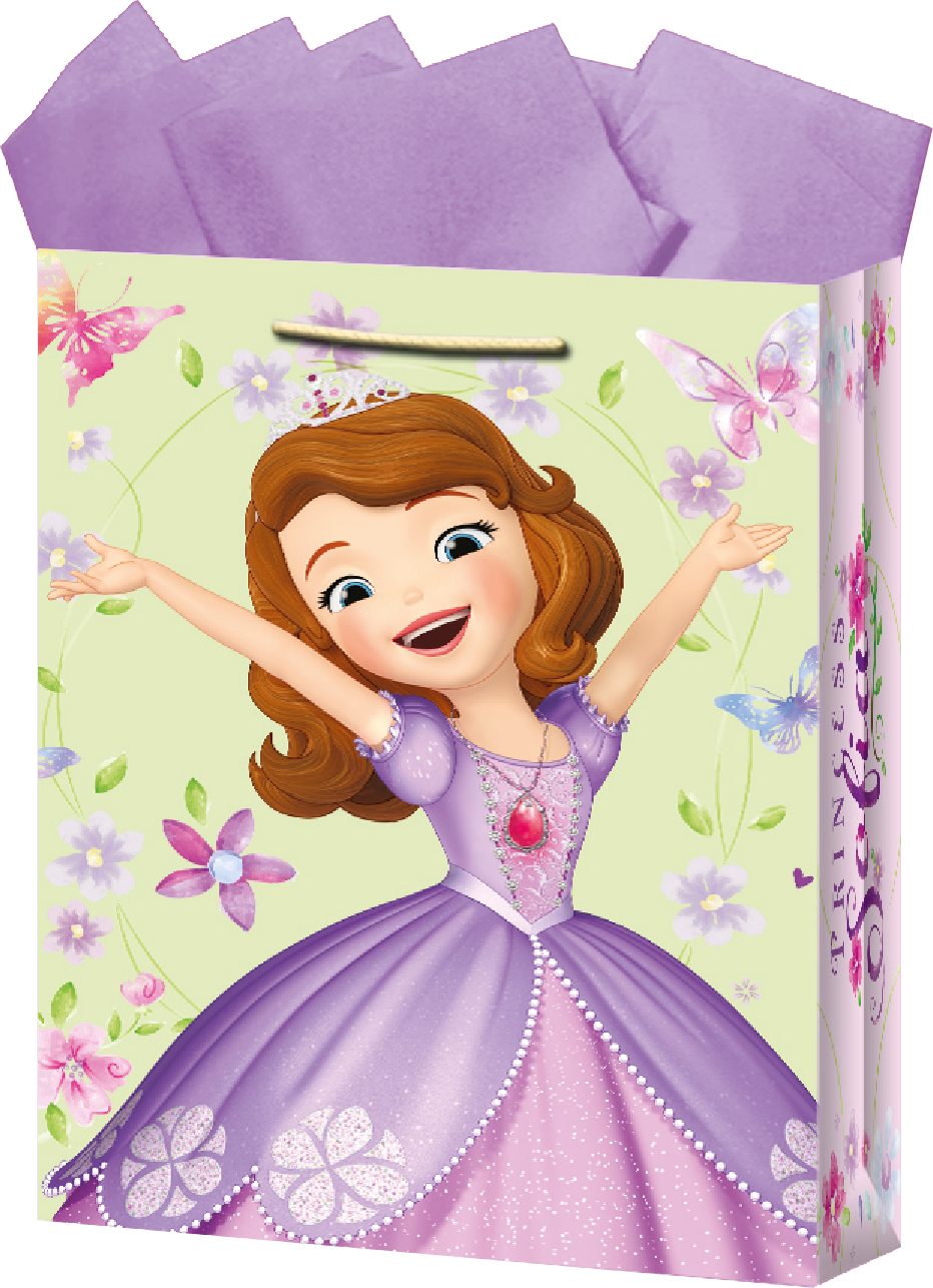 BOLSA REG.CHIC.PRINCESA SOFIA      DIPAK 5120011815 512001181