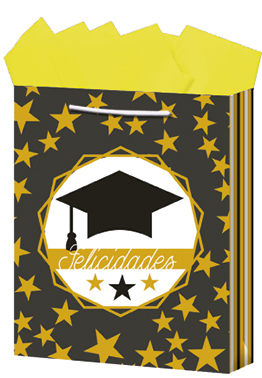 BOLSA REG.GDE. GRADUACION          DIPAK 5420035108