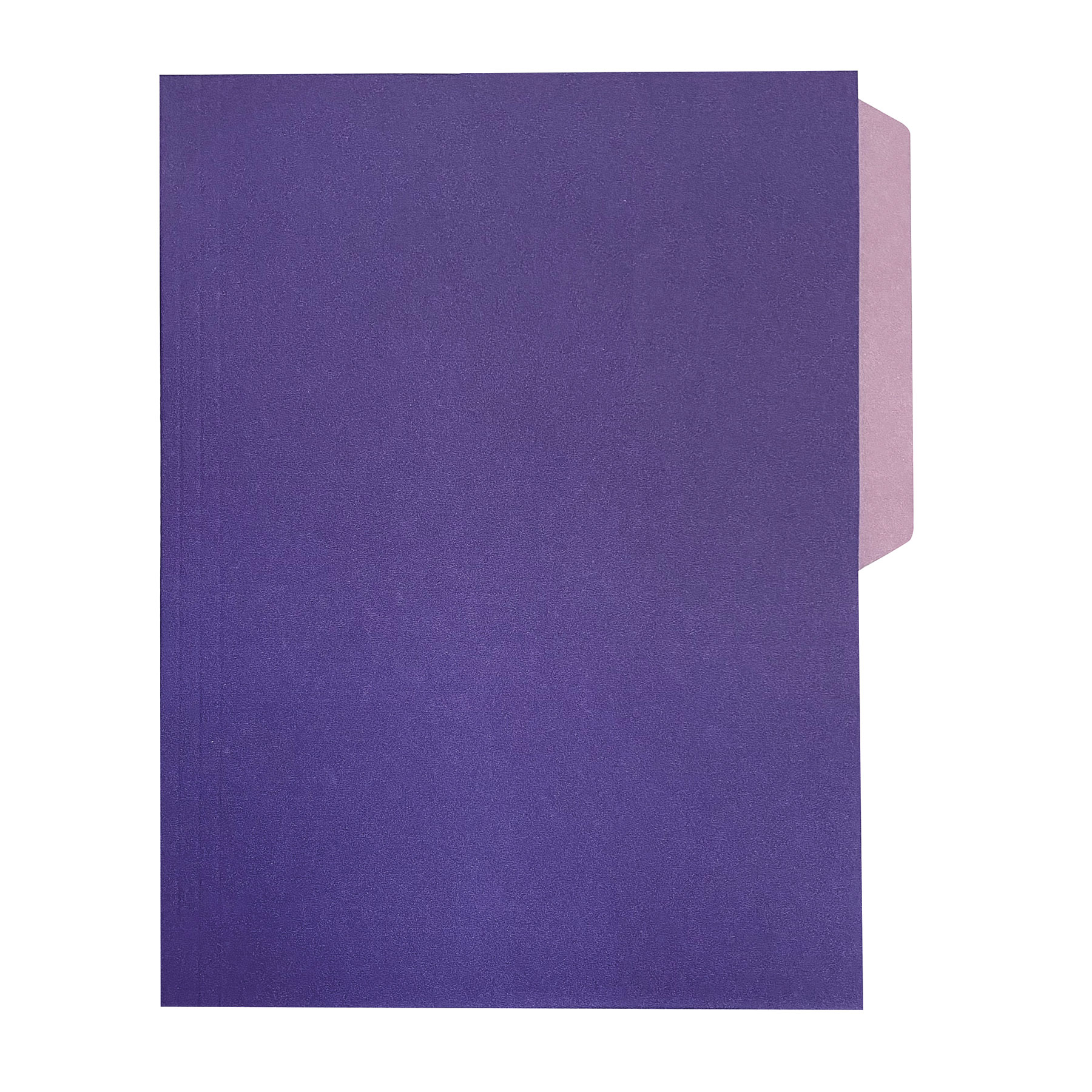 FOLDER T/C  BITONO VIOLE.LITE C/25 PENDA 306790 C0025 1/2 VI