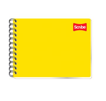 CUAD.ESP. FI BCO 100H C4531       SCRIBE