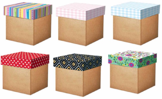 CAJA REG.CHIC.CUBO BLANCA  #10      PADI
