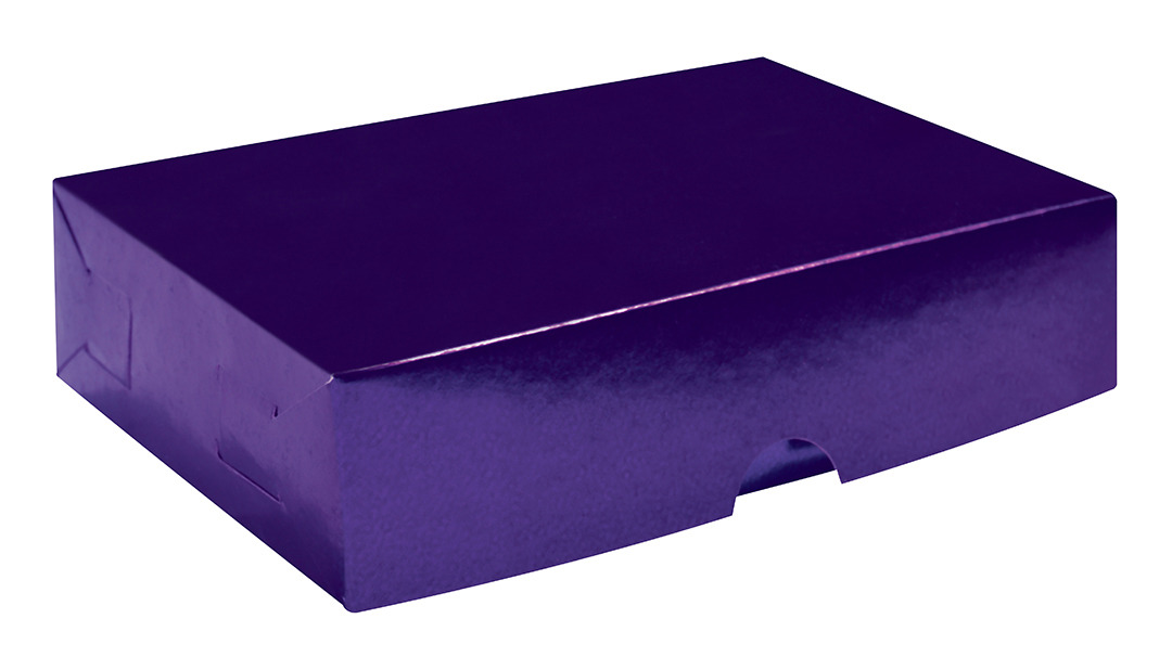 CAJA REG.LISA CHIC.MORADO  METAL.P.ALTOS 371029 CJ108 14X9
