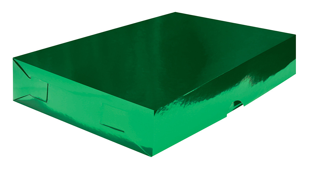 CAJA REG.LISA CHIC.VDE BAN.METAL.P.ALTOS 3710006 CJ104 14X9
