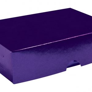 CAJA REG.LISA GDE. MORADO  METAL.P.ALTOS 371031 CJ308 34X23.5