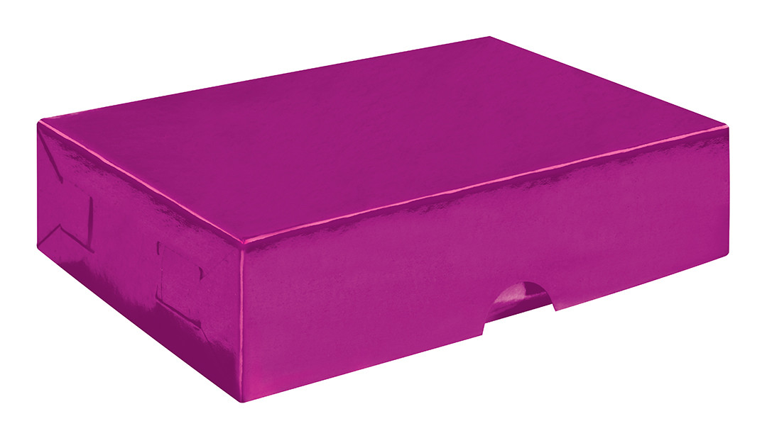 CAJA REG.LISA MED. FISHA   METAL.P.ALTOS 371027 CJ207 24.5X18