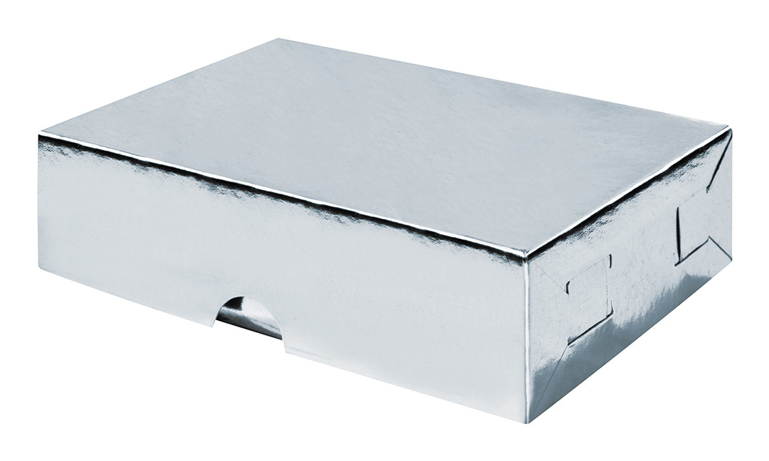 CAJA REG.LISA MED. PLATA   METAL.P.ALTOS 371017 CJ203 24.5X18