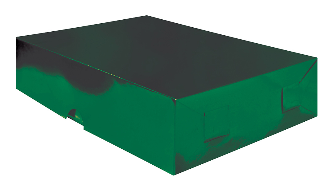 CAJA REG.LISA MED. VDE BAN.METAL.P.ALTOS 731020 CJ204 24.5X18