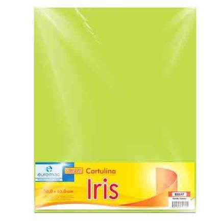CARTULINA 50X65 IRIS VERDE LIMON   SAIRA 510497 49 500498