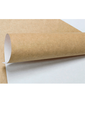 CARTULINA CAPLE EXTENDIDO BCO 90X125