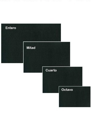 CARTULINA ILUSTR. NGA 25X38 1/8     C/25 113067