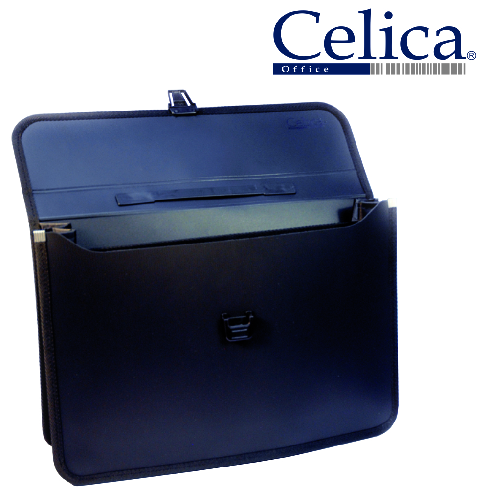 PORTAFOLIO C/2 COMPARTIMIENTOS    CELICA 310305 CO-410L