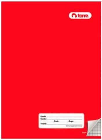 CUAD.COSIDO PROF C-14 100H C/FORRO TORRE 974807 28488 (COLORE
