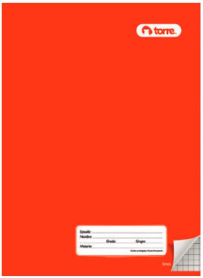 CUAD.COSIDO PROF BCO 100H C/FORRO  TORRE 974791 COLORES SURTI