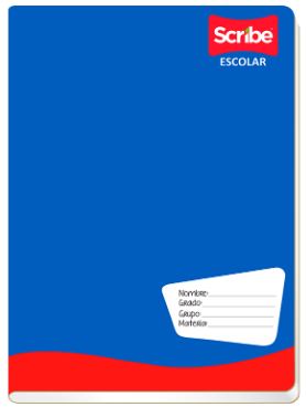 CUAD.ESP. FF C-5 100H S4542       SCRIBE