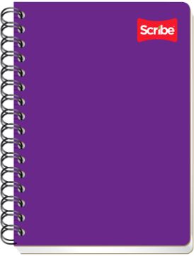 CUAD.ESP. FF C-7 100H S4543       SCRIBE