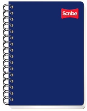 CUAD.ESP. FF D/R 100H S4544       SCRIBE
