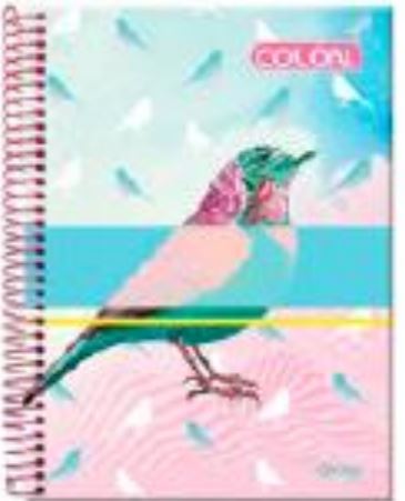 CUADERNO MINI RAYA 100H DREAM   PD TORRE 010376 TR30434 POCKE