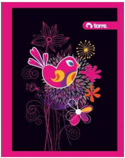 CUAD.PROF.100H FEMENINO MI.C-7 SR  TORRE 002838 29820