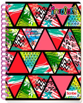CUAD.PROF.100H INCOLORS    RYA DO SCRIBE