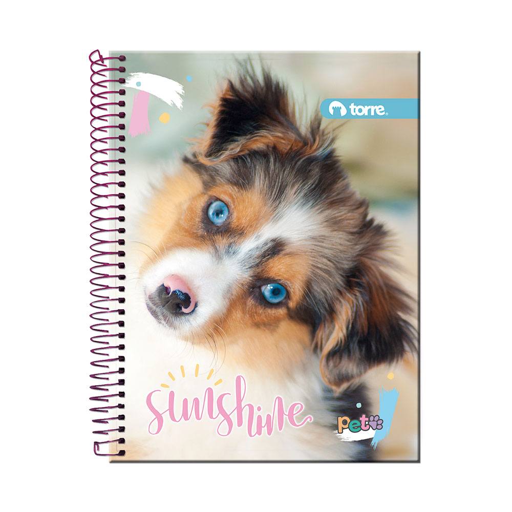 CUAD.PROF.100H PETS        C-7 SR  TORRE 002890 29827 SEMIRIG